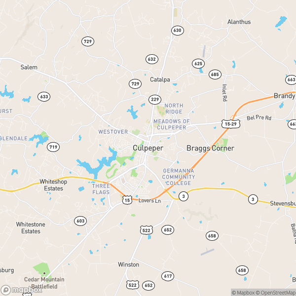 Culpeper, VA Real Estate Market Update 1/2/2024 Erica Deane, Realtor
