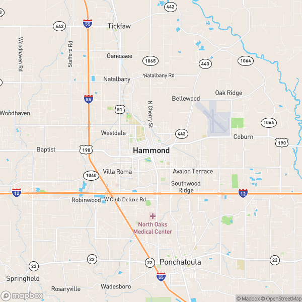 Hammond, LA Real Estate Market Update 2/5/2025