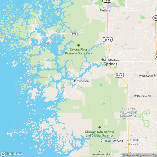 Homosassa, FL Real Estate Market Update 6/17/2024