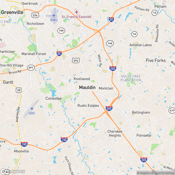 Mauldin, SC Real Estate Market Update 2/20/2023 Alice Salvatore