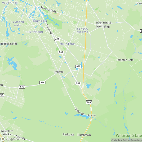 Shamong, NJ Real Estate Market Update 6/12/2025