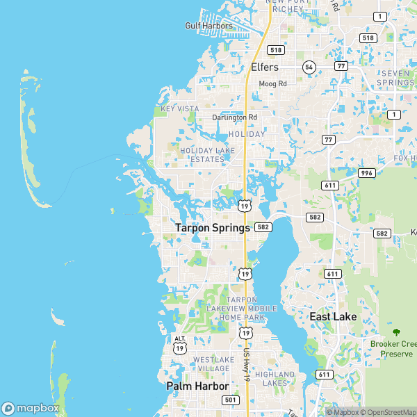 Tarpon Springs, FL Real Estate Market Update 2/20/2025